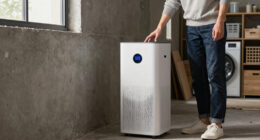 7 Best Air Purifiers for Basements with Stale Air in 2026