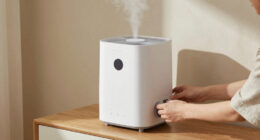 8 Best Large Capacity Humidifiers for 5000 Sq Ft in 2026