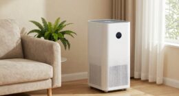 deodorizing with smart dehumidifiers