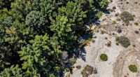 sensor bias alters climate perception