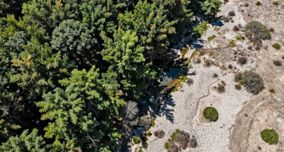 sensor bias alters climate perception