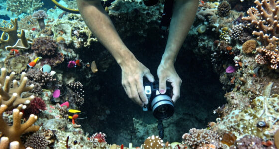 Footage of diving instructor Miyakojima Kuni-san dropping his camera into a hole underwater
