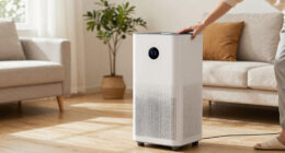 9 Best Air Purifier Heater Combos in 2026