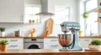 How to Clean a KitchenAid Professional 600 Mixer Safely
