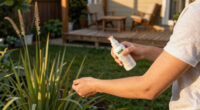 15 Best Tick Repellents in 2026