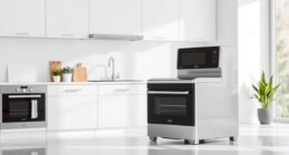COSORI Air Fryer Smoking: Causes & Easy Fixes