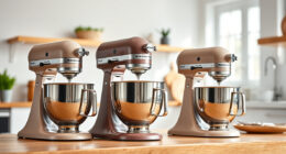 KitchenAid Professional 600 vs Mini: Full Comparison