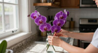 Costco’s $25 Floating Orchids Look Better Than A $500 Florist Arrangement
