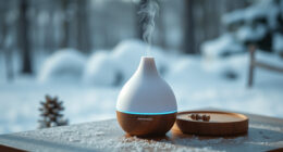 AROMADD Smart Scent Diffuser: A Winter Deal Watch