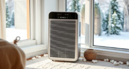 Keep the Winix 5510 Ready for Winter Air