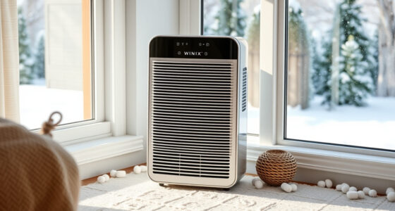 Keep the Winix 5510 Ready for Winter Air