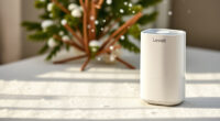 Levoit Core Mini-P: A Winter Black Friday Buy or Wait?
