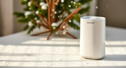 Levoit Core Mini-P: A Winter Black Friday Buy or Wait?