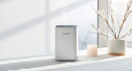 Levoit Core Mini-P: A Winter Care Guide for Cleaner Air