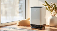 PuroAir 240 Review: A Calmer Winter Home