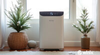 Winter Deal Watch: Is the Winix 5510 Worth Buying Now?