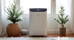 Winter Deal Watch: Is the Winix 5510 Worth Buying Now?